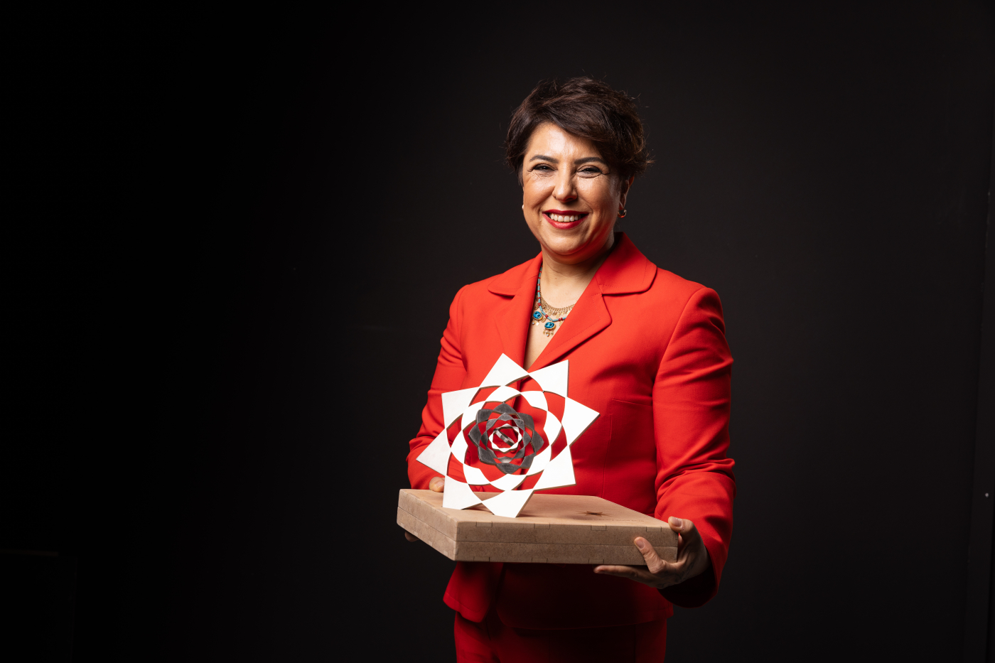 Ebru baybara demir